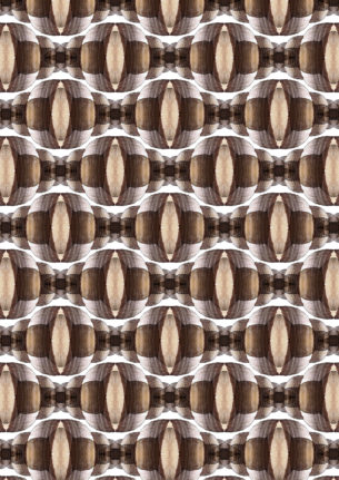 SEASHELLS